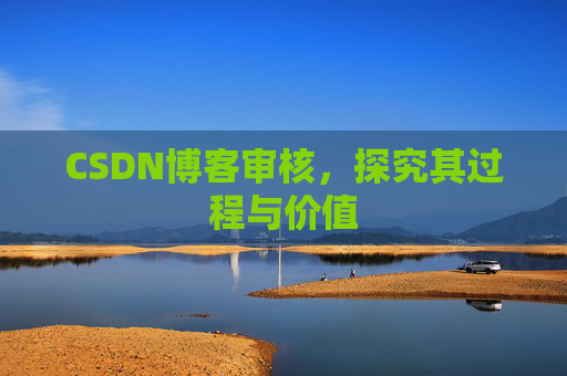 CSDN博客审核，探究其过程与价值